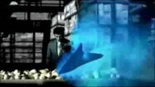 Telenor Pakistan August 2008 TV commercial [upl. by Arahsak82]