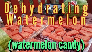 Dehydrated Watermelon Fruit Candy  PowerXL Air Fryer Oven Recipes [upl. by Sylado]