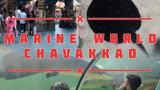 Coimbatoreலிருந்து கேரளாவில் இப்படி ஒரு இடமா😱 One day trip from Coimbatore Largest marine world [upl. by Atinaej]