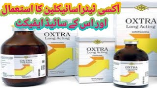 Oxytetracycline injection veterinary uses in Urdu  Imranarish [upl. by Gweneth]