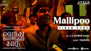 Mallipoo Video Song  VTK  HDR  Silambarasan TR  Gautham Vasudev Menon  ARRahman  Vels [upl. by Gnehp296]