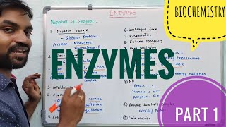 Enzymes Updated [upl. by Afton939]