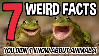 7 WEIRD FACTS You Didnt Know About Animals [upl. by Gal]