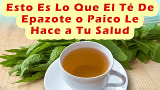 Beneficios Del Epazote o Paico y Sus Propiedades  Para Que Sirve El Té De Epazote [upl. by Ailaht]