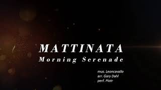 MATTINATA Morning Serenade  accordion [upl. by Herwick]