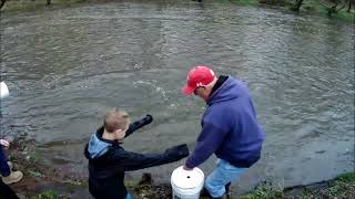 Trout Stocking Tohickon 20240328 [upl. by Atnomed918]