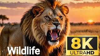 quot8K Wildlife Wonders Unforgettable Kenya Safari Adventure in Ultra HD [upl. by Inimod]