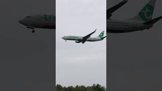 Transavia Boeing 737 PHHBN landing Bologna Airport aviationlovers transavia boeing737 airport [upl. by Kcirad]