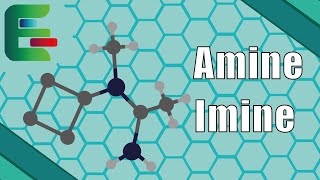 Amine Imine amp NSubstitution  Wie benennt man Stickstoffverbindungen richtig [upl. by Nellac]