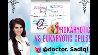 BASICS OF PROKARYOTIC AND EUKARKOTYIC CELLS EXPLAINED UNDER 7 MINUTES [upl. by Cami153]