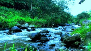 Relaxing river sound of mountain streams for deep sleep mind refreshing stress relief and yoga [upl. by Gault297]