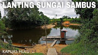 MANCING DI LANTING SUNGAI SAMBUS  KAPUAS HULU [upl. by Hazeghi]