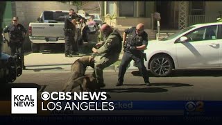 Caught On Video Police K9 Attacked By Pit Bull In Anaheim [upl. by Elyod]