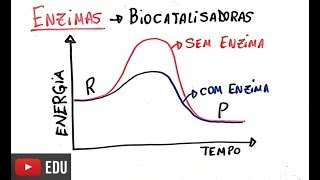 Proteínas  Enzimas [upl. by Decker]