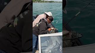 Saint Clair River Walleye fishing [upl. by Brosy]