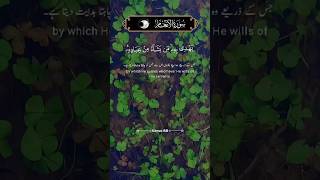 nature with quran 💕Heart Touching Quran Status  Quran Urdu translation WhatsApp status quran [upl. by Aryl567]