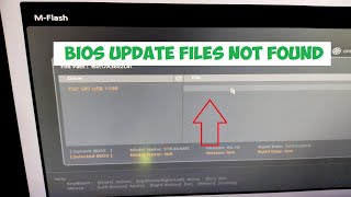 How to fix Bios Update files not found on usb stick [upl. by Adnawahs]