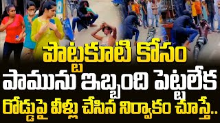 పొట్టకూటి కోసం పామును ఇబ్బంది పెట్టలేక రోడ్డుపై వీళ్లు చేసిన నిర్వాకం చూస్తే  FBTV NEWS [upl. by Ntsyrk194]