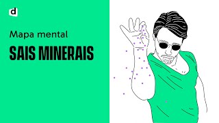 SAIS MINERAIS  Biologia  Quer Que Desenhe  Descomplica [upl. by Normie]