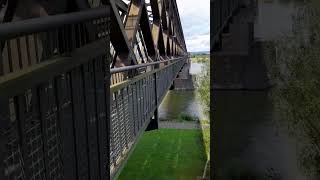 Auf die Brücke bridge brücke rhein [upl. by Nollad]