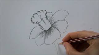 How To Draw a Flower step by step In 6 Minutes [upl. by Morrell]