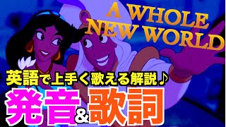 【発音＆歌詞和訳】A whole new world アラジン  ホール・ニューワールド 英語 歌詞付き  日本語訳解説 カラオケ [upl. by Diogenes305]