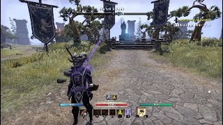 Stam Sorc PvP CWC Build ESO PS4 [upl. by Ana]