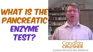 What Is The Pancreatic Enzyme Test [upl. by Ecyob]