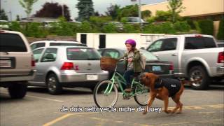 Un chien pour PénélopeGirls Best Friend A Bande Annonce [upl. by Netsrak436]