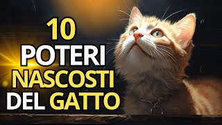 10 POTERI NASCOSTI DEI GATTI 😺 [upl. by Nessa]