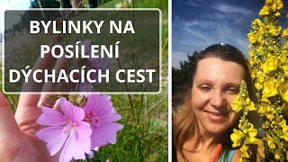 Bylinky na dýchací cesty [upl. by Anibor]