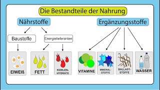 Die Nahrung und ihre Bestandteile –Natur und Technik 5Klasse [upl. by Yruj]