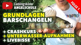 Angeln auf Barsche mit Gummifisch inkl Livebissen  Unterwasseraufnahmen Staffel 1 Folge 1 [upl. by Myrna]