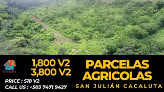 K13  SE VENDE  PARCELAS AGRICOLAS  SAN JULIAN CACALUTA  SONSONATE  INFO 50374719427 [upl. by Nevai]