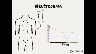 Doctor Explains Neutropenia During Chemotherapy [upl. by Valene]