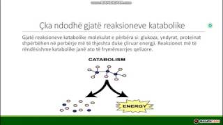 Metabolizmi  Biologjia 11 [upl. by Mayce949]