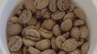 April Coffee Roasters Collaboration with Gaggenau [upl. by Aihcats]