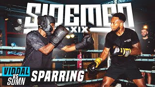 VIDDAL RILEY VS THE SIDEMEN FULL SPARRING [upl. by Grof]