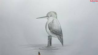 Kingfisher bird drawing for beginners step by step Kingfisher bird drawing with pencil sketch [upl. by Glanti165]