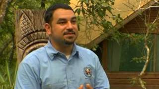 What is happening in Belize Central America Belize Eco Resorts Belize Vacations [upl. by Erda]