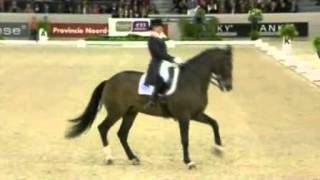 Dressage Equestrian Ballet [upl. by Ayanet]