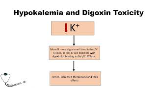 Digoxin Toxicity Part 2 [upl. by Savill]