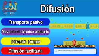 DIFUSIÓN  Difusión simple  Difusión facilitada  Transporte celular pasivo [upl. by Savell]