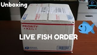 Live Fish Unboxing  Aquabid Cichlids [upl. by Alves]