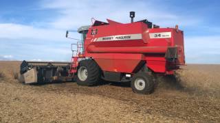 Massey Ferguson  Colheitadeira MF 34 com Rotor Duplo [upl. by Yerffej862]