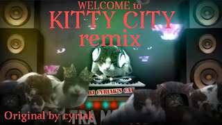 Welcome to Kitty City  Ultrasound Remix  Original by cyriak [upl. by Relyat]