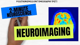 2Minute Neuroscience Neuroimaging [upl. by Laiceps]