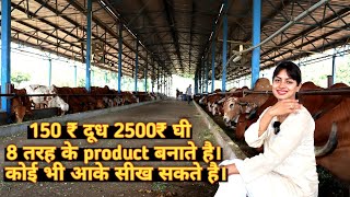 250 देसी गायों का डेयरी फार्म। Desi cow dairy farm । Dairy farming in India।India farming management [upl. by Hillard]