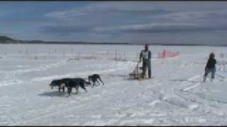 Flagstaff Sled Dog Race 2009 [upl. by Kifar731]