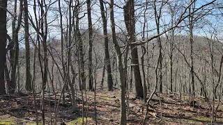 151 Acres Knobley Mountain Ridgeley WV  15102 AC  399900 [upl. by Akenal]